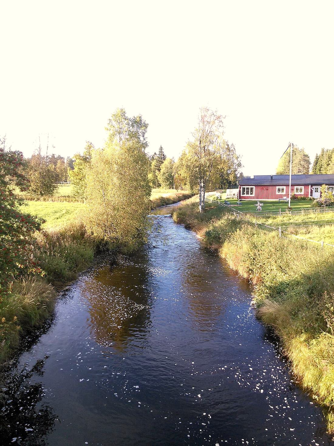 Täfteån uppströms, fotograferad i Tväråmark 2017.